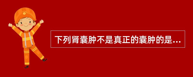 下列肾囊肿不是真正的囊肿的是A、单纯性囊肿B、成人型多囊肾C、肾盂旁囊肿D、肾盂