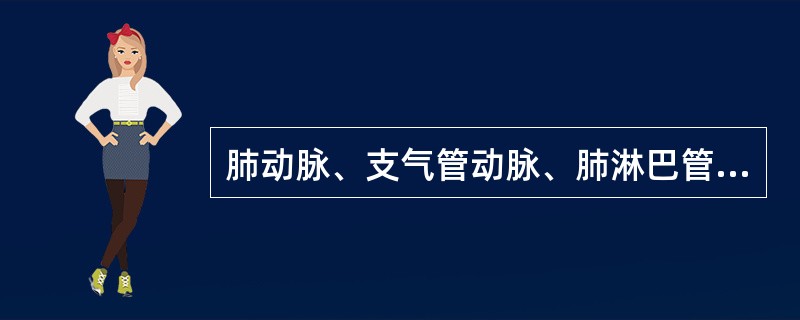 肺动脉、支气管动脉、肺淋巴管、肺静脉、支气管静脉,属于肺功能性血管的是A、肺动脉