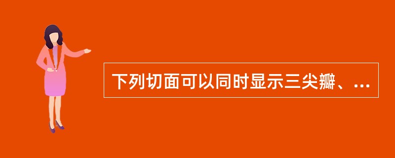 下列切面可以同时显示三尖瓣、主动脉瓣、肺动脉瓣的是A、胸骨旁大血管短轴切面B、心