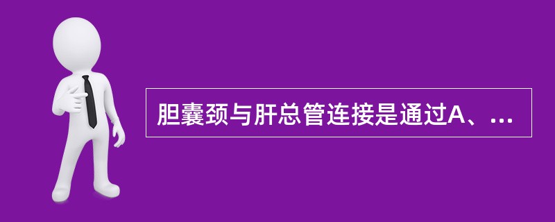 胆囊颈与肝总管连接是通过A、肝胰壶腹(Vater壶腹)B、胆总管C、肝左管、肝右