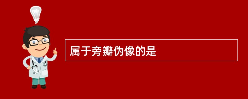 属于旁瓣伪像的是