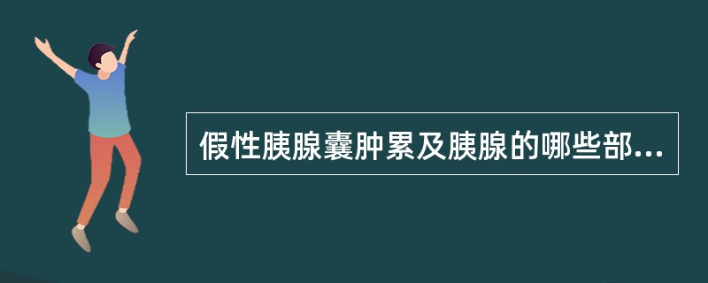 假性胰腺囊肿累及胰腺的哪些部位A、胰头B、胰尾C、胰体D、胰头和胰体E、任何部位