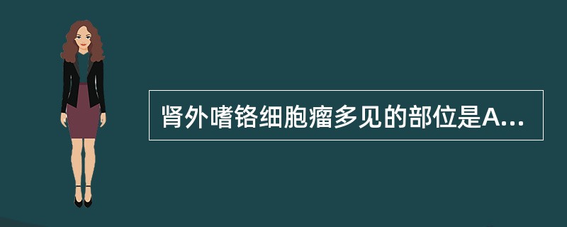 肾外嗜铬细胞瘤多见的部位是A、肾门处B、上腔静脉旁C、颈总动脉旁D、肠系膜下动脉