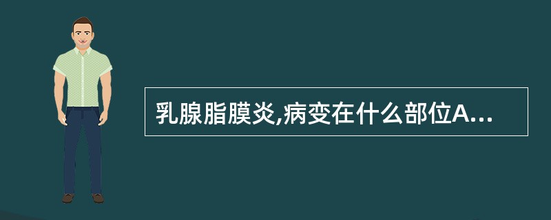 乳腺脂膜炎,病变在什么部位A、乳腺腺体层B、乳腺皮下脂肪层C、乳腺浅筋膜层D、乳