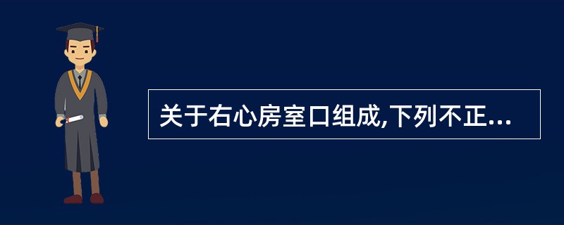 关于右心房室口组成,下列不正确的是A、右心房室口周径为11cmB、有3个三角形的