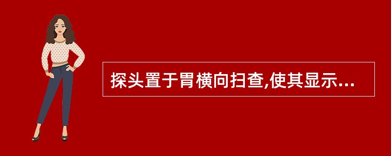 探头置于胃横向扫查,使其显示"∞"字样结构的部位是A、胃体部B、胃窦部C、贲门部