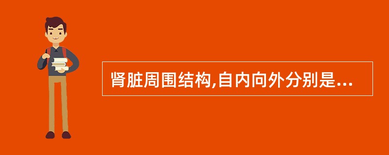 肾脏周围结构,自内向外分别是A、肾筋膜、肾纤维膜、肾脂肪囊B、肾纤维膜、肾筋膜、