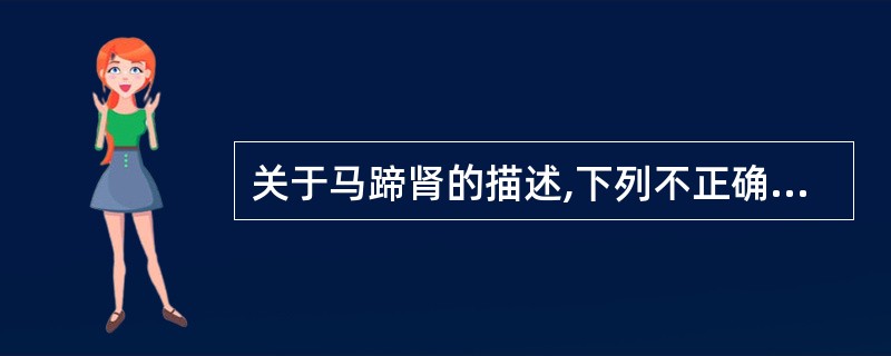 关于马蹄肾的描述,下列不正确的是A、左右肾下极联合B、易并发肾肿瘤C、有多根肾动