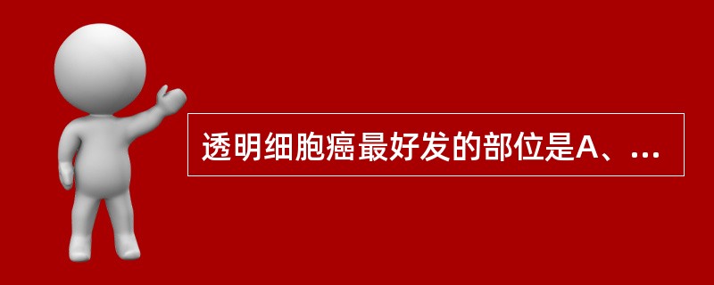 透明细胞癌最好发的部位是A、肾实质B、肾小盏C、肾盂D、输尿管E、膀胱