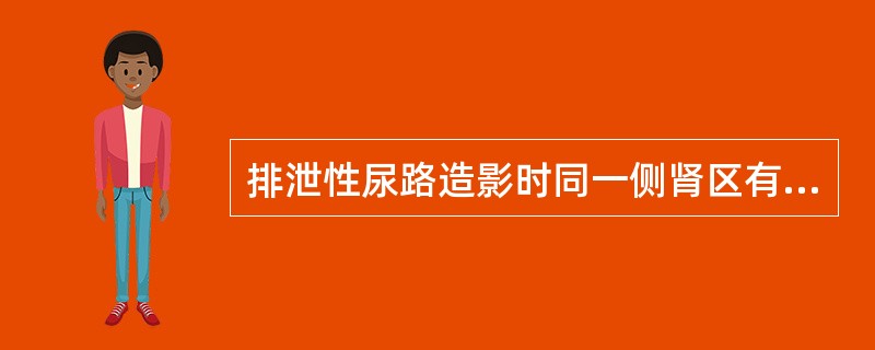 排泄性尿路造影时同一侧肾区有两套肾盂、肾盏和输尿管,两输尿管汇合或分别进入膀胱。