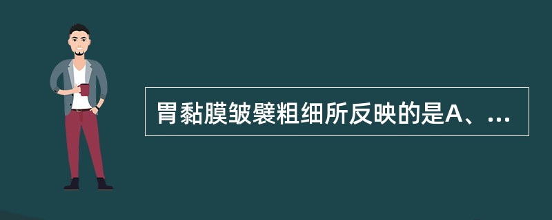 胃黏膜皱襞粗细所反映的是A、胃收缩状态B、胃张力程度C、胃壁肌厚度D、胃黏膜肌层