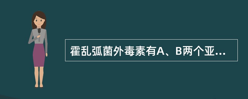 霍乱弧菌外毒素有A、B两个亚单位,其中A亚单位分为A1和A2,毒素的活性部分是(