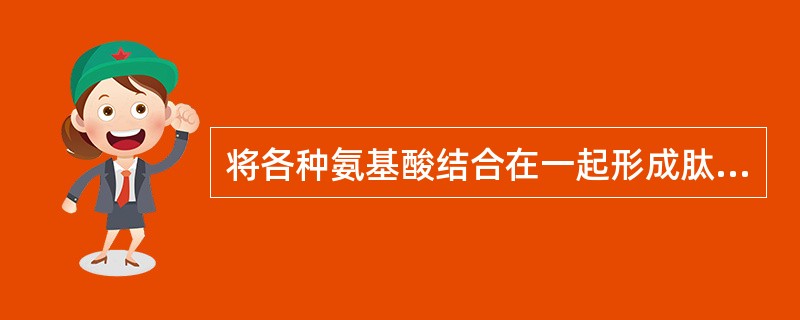 将各种氨基酸结合在一起形成肽链的结构被称为( )