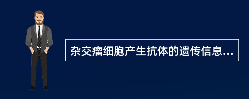 杂交瘤细胞产生抗体的遗传信息来自( )