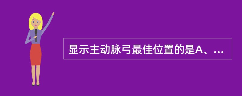 显示主动脉弓最佳位置的是A、后前位B、侧位C、右前斜位D、前后位E、左前斜位 -