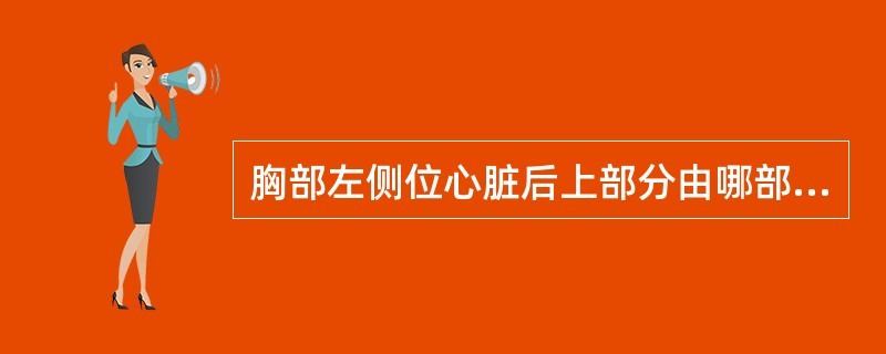 胸部左侧位心脏后上部分由哪部分构成A、左心室B、右心室C、左心房D、右心房E、肺