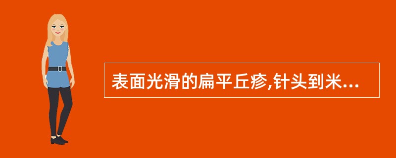 表面光滑的扁平丘疹,针头到米粒大小,呈淡红色,褐色或正常肤色,常因搔抓形成一串新