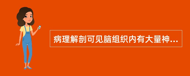 病理解剖可见脑组织内有大量神经纤维缠结和淀粉样蛋白沉积