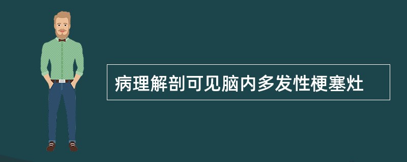 病理解剖可见脑内多发性梗塞灶