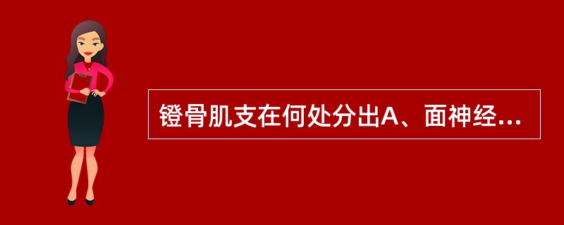 镫骨肌支在何处分出A、面神经内听道段B、面神经鼓室段C、面神经乳突段D、面神经膝