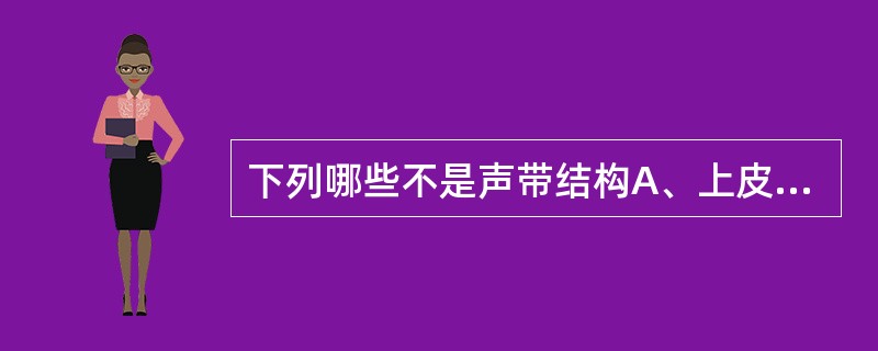 下列哪些不是声带结构A、上皮层B、弹力纤维层C、胶原纤维层D、肌肉层E、浆膜层