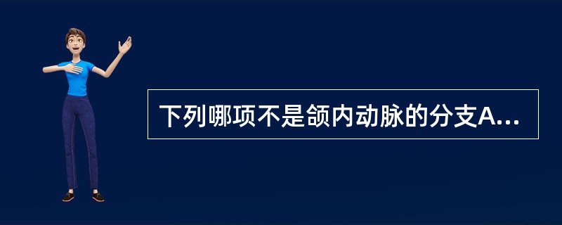 下列哪项不是颌内动脉的分支A、蝶腭动脉B、眶下动脉C、腭大动脉D、鼻腭动脉E、上