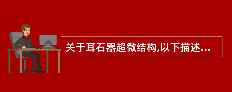 关于耳石器超微结构,以下描述错误的是A、球囊和椭圆囊位置相互垂直B、球囊动纤毛均