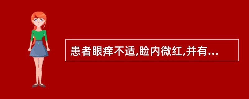 患者眼痒不适,睑内微红,并有少量红赤颗粒。