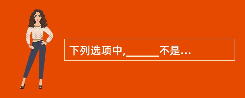 下列选项中,______不是标准菜单系统的组成部分。