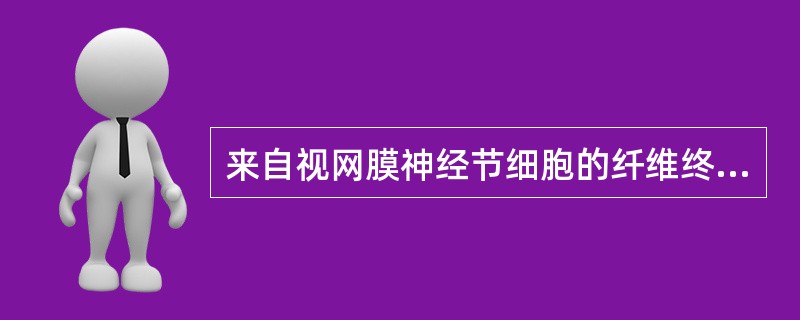 来自视网膜神经节细胞的纤维终止于A、视交叉B、视束中部C、外侧膝状体D、内侧膝状