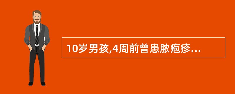 10岁男孩,4周前曾患脓疱疹,3天来眼睑水肿,尿少,肉眼血尿,血压150£¯10