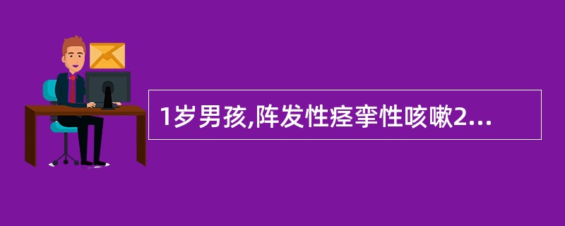 1岁男孩,阵发性痉挛性咳嗽20余日,出生时接种卡介苗,1:20000T试验硬结直