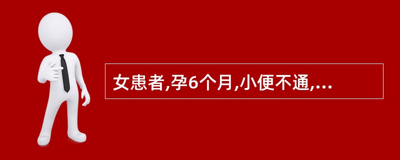 女患者,孕6个月,小便不通,小腹胀急疼痛,坐卧不宁,畏寒肢冷,腰酸腿软。舌淡苔薄