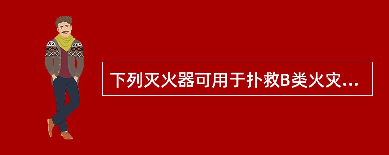 下列灭火器可用于扑救B类火灾的是()。