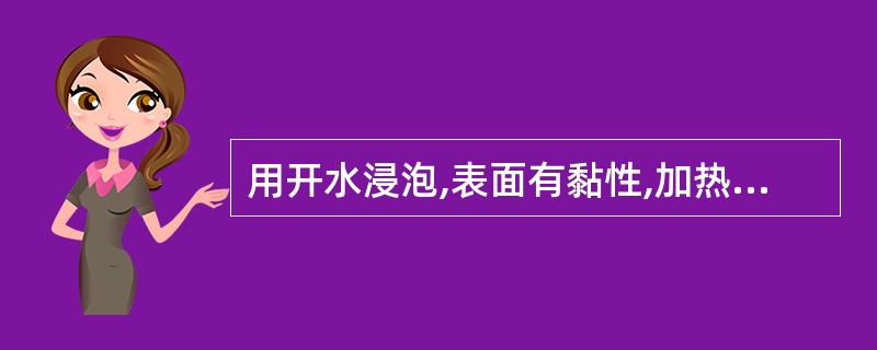 用开水浸泡,表面有黏性,加热煮至种皮破裂时露出白色卷旋状胚的中药材是