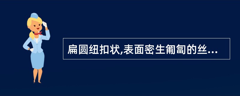 扁圆纽扣状,表面密生匍匐的丝状毛,自中央向四周射出。此药材是