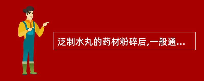 泛制水丸的药材粉碎后,一般通过多少号筛