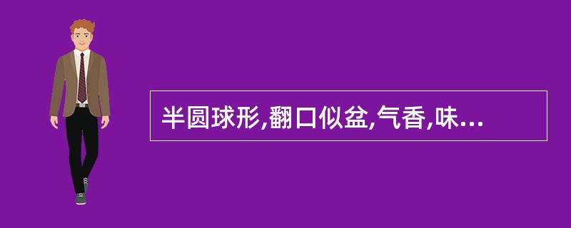 半圆球形,翻口似盆,气香,味苦而微酸的药材是