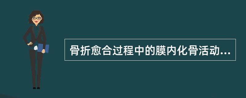 骨折愈合过程中的膜内化骨活动开始于骨折后的( )。A、3天内B、5天内C、3~5