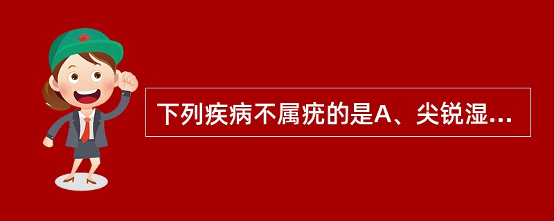 下列疾病不属疣的是A、尖锐湿疣B、扁平疣C、寻常疣D、跖疣E、传染性软疣