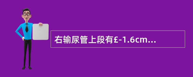 右输尿管上段有£­1.6cm×1.2cm×1.2cm结石,左输尿管上段有£­1.