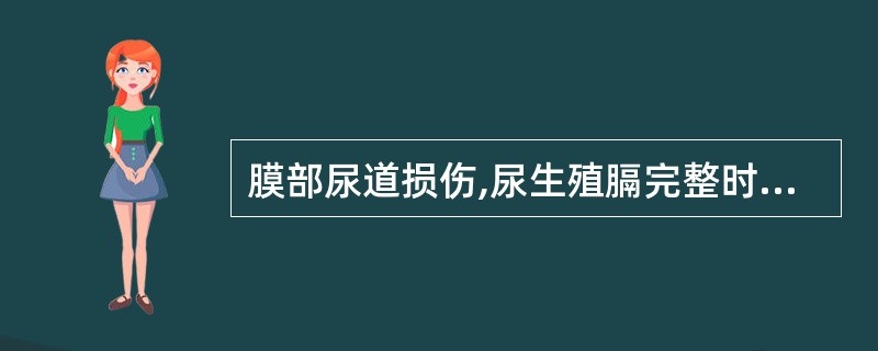 膜部尿道损伤,尿生殖膈完整时,尿外渗至A、会阴部B、阴囊部C、阴茎部D、膀胱和前