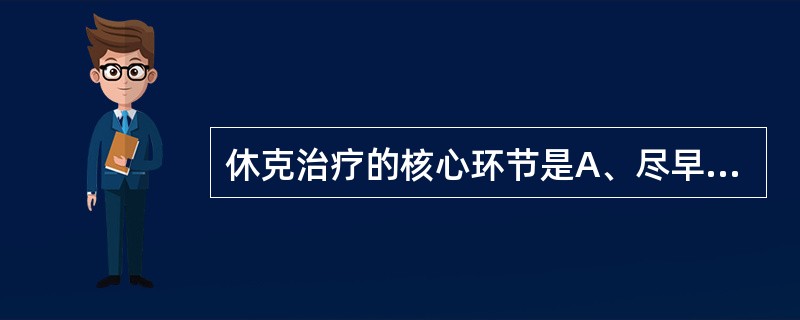 休克治疗的核心环节是A、尽早应用血管收缩药维持血压B、应用肝素治疗DIC以改善微