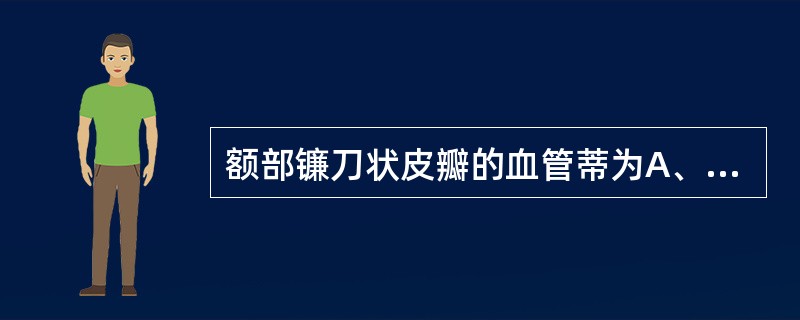 额部镰刀状皮瓣的血管蒂为A、滑车上血管B、眶上血管C、鼻背血管D、颞浅血管E、颞