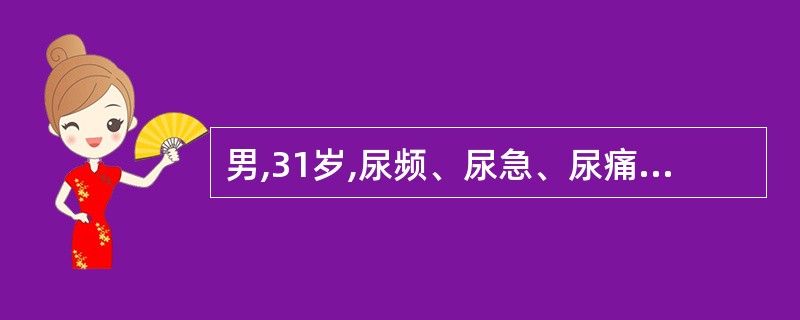 男,31岁,尿频、尿急、尿痛一年余,多种抗生素治疗无效,尿液检查:脓球满视野,蛋