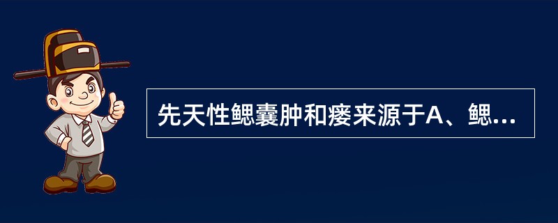 先天性鳃囊肿和瘘来源于A、鳃弓B、鳃裂C、甲状腺舌管D、咽囊E、胸腺咽管