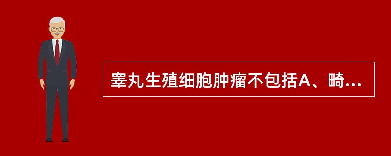 睾丸生殖细胞肿瘤不包括A、畸胎癌B、精原细胞瘤C、卵黄囊肿瘤D、胚胎癌E、鳞癌