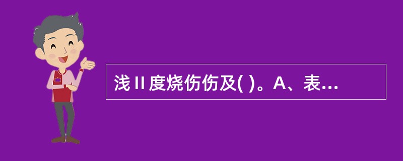 浅Ⅱ度烧伤伤及( )。A、表皮角质层透明层£«颗粒层£«棘层B、表皮角质层£«透