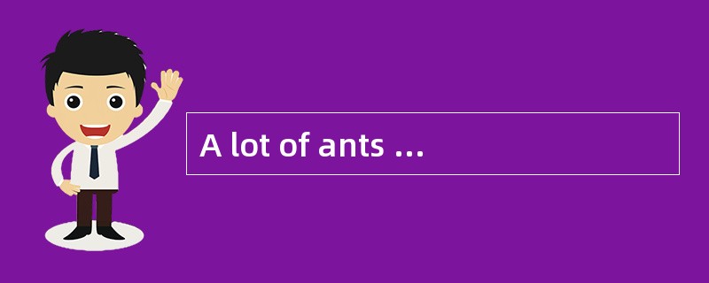 A lot of ants are always invading my kit