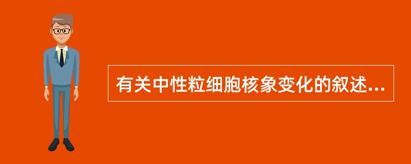 有关中性粒细胞核象变化的叙述,错误的是